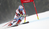 Mauro Caviezel of Switzerland skiing in the men super-g race of Audi FIS Alpine skiing World cup in Kitzbuehel, Austria. Men super-g race of Audi FIS Alpine skiing World cup season 2014-2015, was held on Friday, 23rd of January 2015 on Hahnenkamm course in Kitzbuehel, Austria
