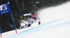 Klaus Brandner of Germany skiing in the men super-g race of Audi FIS Alpine skiing World cup in Kitzbuehel, Austria. Men super-g race of Audi FIS Alpine skiing World cup season 2014-2015, was held on Friday, 23rd of January 2015 on Hahnenkamm course in Kitzbuehel, Austria
