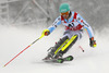 Felix Neureuther of Germany skiing in the first run of the men slalom race of Audi FIS Alpine skiing World cup in Kitzbuehel, Austria. Men slalom race of Audi FIS Alpine skiing World cup season 2014-2015, was held on Sunday, 25th of January 2015 on Ganslern course in Kitzbuehel, Austria
