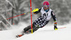 Jens Henttinen of Finland skiing in the first run of the men slalom race of Audi FIS Alpine skiing World cup in Kitzbuehel, Austria. Men slalom race of Audi FIS Alpine skiing World cup season 2014-2015, was held on Sunday, 25th of January 2015 on Ganslern course in Kitzbuehel, Austria
