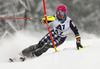 Jens Henttinen of Finland skiing in the first run of the men slalom race of Audi FIS Alpine skiing World cup in Kitzbuehel, Austria. Men slalom race of Audi FIS Alpine skiing World cup season 2014-2015, was held on Sunday, 25th of January 2015 on Ganslern course in Kitzbuehel, Austria
