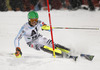 Linus Strasser of Germany skiing in the first run of the Men Slalom race of Audi FIS Alpine skiing World cup in Schladming, Austria. Men Slalom race of Audi FIS Alpine skiing World cup 2014-2015 was held on Tuesday, 27th of January 2015 on Planai course in Schladming, Austria.
