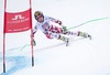 Anna Fenninger (AUT, Goldmedaille) winner of the gold Medal Anna Fenninger of Austria in action during the ladiesSuper-G of FIS Ski World Championships 2015 at the Raptor Course in Beaver Creek, United States on 2015/02/03.
