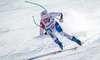 Nadja Jnglin-Kamer of Switzerland in action during the ladies Downhill of FIS Ski World Championships 2015 at the Raptor Course in Beaver Creek, United States on 2015/02/06.
