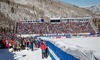 Stadion Overview during the ladies Downhill of FIS Ski World Championships 2015 at the Raptor Course in Beaver Creek, United States on 2015/02/06.
