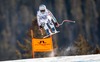 Viktoria Rebensburg of Germany in action during the ladies Downhill of FIS Ski World Championships 2015 at the Raptor Course in Beaver Creek, United States on 2015/02/06.
