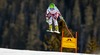 Nicole Schmidhofer of Austria in action during the ladies Downhill of FIS Ski World Championships 2015 at the Raptor Course in Beaver Creek, United States on 2015/02/06.
