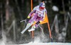 Aksel Lund Svindal of Norway in action during the mens Downhill of FIS Ski World Championships 2015 at the Birds of Prey Course in Beaver Creek, United States on 2015/02/07.
