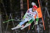 Martin Cater of Slovenia in action during the mens Downhill of FIS Ski World Championships 2015 at the Birds of Prey Course in Beaver Creek, United States on 2015/02/07.
