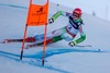 Klemen Kosi of Slovenia in action during the men Downhill for the Combined of FIS Ski World Championships 2015 at the Birds of Prey Course in Beaver Creek, United States on 2015/02/08.
