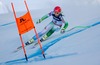 Martin Cater of Slovenia in action during the men Downhill for the Combined of FIS Ski World Championships 2015 at the Birds of Prey Course in Beaver Creek, United States on 2015/02/08.
