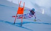 Thomas Mermillod Blondin of France in action during the men Downhill for the Combined of FIS Ski World Championships 2015 at the Birds of Prey Course in Beaver Creek, United States on 2015/02/08.
