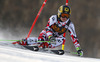 Kathrin Zettel of Austria skiing in the first run of the women giant slalom race for 51st Golden Fox trophy of Audi FIS Alpine skiing World cup in Maribor, Slovenia. Women giant slalom race for 51st Golden Fox trophy of Audi FIS Alpine skiing World cup season 2014-2015, was held on Saturday, 21st of February 2015 in Maribor, Slovenia.
