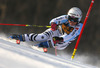 Viktoria Rebensburg of Germany skiing in the first run of the women giant slalom race for 51st Golden Fox trophy of Audi FIS Alpine skiing World cup in Maribor, Slovenia. Women giant slalom race for 51st Golden Fox trophy of Audi FIS Alpine skiing World cup season 2014-2015, was held on Saturday, 21st of February 2015 in Maribor, Slovenia.
