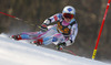 Tina Weirather of Liechtenstein skiing in the first run of the women giant slalom race for 51st Golden Fox trophy of Audi FIS Alpine skiing World cup in Maribor, Slovenia. Women giant slalom race for 51st Golden Fox trophy of Audi FIS Alpine skiing World cup season 2014-2015, was held on Saturday, 21st of February 2015 in Maribor, Slovenia.
