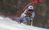 Tina Weirather of Liechtenstein skiing in the first run of the women giant slalom race for 51st Golden Fox trophy of Audi FIS Alpine skiing World cup in Maribor, Slovenia. Women giant slalom race for 51st Golden Fox trophy of Audi FIS Alpine skiing World cup season 2014-2015, was held on Saturday, 21st of February 2015 in Maribor, Slovenia.
