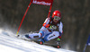 Dominique Gisin of Switzerland skiing in the first run of the women giant slalom race for 51st Golden Fox trophy of Audi FIS Alpine skiing World cup in Maribor, Slovenia. Women giant slalom race for 51st Golden Fox trophy of Audi FIS Alpine skiing World cup season 2014-2015, was held on Saturday, 21st of February 2015 in Maribor, Slovenia.

