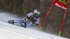 Adeline Baud of France skiing in the first run of the women giant slalom race for 51st Golden Fox trophy of Audi FIS Alpine skiing World cup in Maribor, Slovenia. Women giant slalom race for 51st Golden Fox trophy of Audi FIS Alpine skiing World cup season 2014-2015, was held on Saturday, 21st of February 2015 in Maribor, Slovenia.
