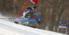 Alexandra Tilley of Great Britain skiing in the first run of the women giant slalom race for 51st Golden Fox trophy of Audi FIS Alpine skiing World cup in Maribor, Slovenia. Women giant slalom race for 51st Golden Fox trophy of Audi FIS Alpine skiing World cup season 2014-2015, was held on Saturday, 21st of February 2015 in Maribor, Slovenia.
