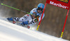 Simona Hoesl of Germany skiing in the first run of the women giant slalom race for 51st Golden Fox trophy of Audi FIS Alpine skiing World cup in Maribor, Slovenia. Women giant slalom race for 51st Golden Fox trophy of Audi FIS Alpine skiing World cup season 2014-2015, was held on Saturday, 21st of February 2015 in Maribor, Slovenia.
