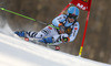 Simona Hoesl of Germany skiing in the first run of the women giant slalom race for 51st Golden Fox trophy of Audi FIS Alpine skiing World cup in Maribor, Slovenia. Women giant slalom race for 51st Golden Fox trophy of Audi FIS Alpine skiing World cup season 2014-2015, was held on Saturday, 21st of February 2015 in Maribor, Slovenia.
