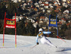 Winner Anna Fenninger of Austria skiing in the second run of the women giant slalom race for 51st Golden Fox trophy of Audi FIS Alpine skiing World cup in Maribor, Slovenia. Women giant slalom race for 51st Golden Fox trophy of Audi FIS Alpine skiing World cup season 2014-2015, was held on Saturday, 21st of February 2015 in Maribor, Slovenia.
