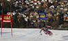 Winner Anna Fenninger of Austria skiing in the second run of the women giant slalom race for 51st Golden Fox trophy of Audi FIS Alpine skiing World cup in Maribor, Slovenia. Women giant slalom race for 51st Golden Fox trophy of Audi FIS Alpine skiing World cup season 2014-2015, was held on Saturday, 21st of February 2015 in Maribor, Slovenia.
