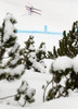 Mauro Caviezel of Switzerland skiing in second training run for the men downhill race of Audi FIS Alpine skiing World cup in Garmisch-Partenkirchen, Germany. Second training for men downhill race of Audi FIS Alpine skiing World cup season 2014-2015, was held on Friday, 27th of February 2015 in Garmisch-Partenkirchen, Germany.
