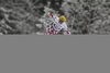  skiing during the men downhill race of Audi FIS Alpine skiing World cup in Garmisch-Partenkirchen, Germany. Men downhill race of Audi FIS Alpine skiing World cup season 2014-2015, was held on Saturday, 28th of February 2015 in Garmisch-Partenkirchen, Germany.
