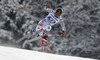 Klaus Brandner of Germany skiing during the men downhill race of Audi FIS Alpine skiing World cup in Garmisch-Partenkirchen, Germany. Men downhill race of Audi FIS Alpine skiing World cup season 2014-2015, was held on Saturday, 28th of February 2015 in Garmisch-Partenkirchen, Germany.
