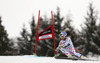 Alexis Pinturault of France skiing in first run of men giant slalom race of Audi FIS Alpine skiing World cup in Garmisch-Partenkirchen, Germany. Men giant slalom race of Audi FIS Alpine skiing World cup season 2014-2015, was held on Sunday, 1st of March 2015 in Garmisch-Partenkirchen, Germany.
