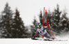 Ted Ligety of USA skiing in first run of men giant slalom race of Audi FIS Alpine skiing World cup in Garmisch-Partenkirchen, Germany. Men giant slalom race of Audi FIS Alpine skiing World cup season 2014-2015, was held on Sunday, 1st of March 2015 in Garmisch-Partenkirchen, Germany.

