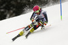 Marcus Sandell of Finland skiing in first run of men giant slalom race of Audi FIS Alpine skiing World cup in Garmisch-Partenkirchen, Germany. Men giant slalom race of Audi FIS Alpine skiing World cup season 2014-2015, was held on Sunday, 1st of March 2015 in Garmisch-Partenkirchen, Germany.
