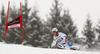 Carlo Janka of Switzerland skiing in first run of men giant slalom race of Audi FIS Alpine skiing World cup in Garmisch-Partenkirchen, Germany. Men giant slalom race of Audi FIS Alpine skiing World cup season 2014-2015, was held on Sunday, 1st of March 2015 in Garmisch-Partenkirchen, Germany.
