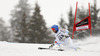 Matts Olsson of Sweden skiing in first run of men giant slalom race of Audi FIS Alpine skiing World cup in Garmisch-Partenkirchen, Germany. Men giant slalom race of Audi FIS Alpine skiing World cup season 2014-2015, was held on Sunday, 1st of March 2015 in Garmisch-Partenkirchen, Germany.
