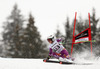 Henrik Kristoffersen of Norway skiing in first run of men giant slalom race of Audi FIS Alpine skiing World cup in Garmisch-Partenkirchen, Germany. Men giant slalom race of Audi FIS Alpine skiing World cup season 2014-2015, was held on Sunday, 1st of March 2015 in Garmisch-Partenkirchen, Germany.

