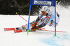 Stefan Luitz of Germany skiing in first run of men giant slalom race of Audi FIS Alpine skiing World cup in Garmisch-Partenkirchen, Germany. Men giant slalom race of Audi FIS Alpine skiing World cup season 2014-2015, was held on Sunday, 1st of March 2015 in Garmisch-Partenkirchen, Germany.
