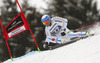 Andre Myhrer of Sweden skiing in first run of men giant slalom race of Audi FIS Alpine skiing World cup in Garmisch-Partenkirchen, Germany. Men giant slalom race of Audi FIS Alpine skiing World cup season 2014-2015, was held on Sunday, 1st of March 2015 in Garmisch-Partenkirchen, Germany.
