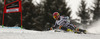 Samu Torsti of Finland skiing in first run of men giant slalom race of Audi FIS Alpine skiing World cup in Garmisch-Partenkirchen, Germany. Men giant slalom race of Audi FIS Alpine skiing World cup season 2014-2015, was held on Sunday, 1st of March 2015 in Garmisch-Partenkirchen, Germany.

