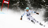 Felix Neureuther of Germany skiing in first run of men giant slalom race of Audi FIS Alpine skiing World cup in Garmisch-Partenkirchen, Germany. Men giant slalom race of Audi FIS Alpine skiing World cup season 2014-2015, was held on Sunday, 1st of March 2015 in Garmisch-Partenkirchen, Germany.
