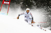 Stefan Luitz of Germany skiing in first run of men giant slalom race of Audi FIS Alpine skiing World cup in Garmisch-Partenkirchen, Germany. Men giant slalom race of Audi FIS Alpine skiing World cup season 2014-2015, was held on Sunday, 1st of March 2015 in Garmisch-Partenkirchen, Germany.
