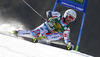 Thomas Fanara of France skiing in first run of men giant slalom race of Audi FIS Alpine skiing World cup in Kranjska Gora, Slovenia. Men giant slalom race of Audi FIS Alpine skiing World cup season 2014-2015, was held on Saturday, 14th of March 2015 in Kranjska Gora, Slovenia.
