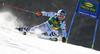 Fritz Dopfer of Germany skiing in first run of men giant slalom race of Audi FIS Alpine skiing World cup in Kranjska Gora, Slovenia. Men giant slalom race of Audi FIS Alpine skiing World cup season 2014-2015, was held on Saturday, 14th of March 2015 in Kranjska Gora, Slovenia.
