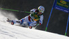 Carlo Janka of Switzerland skiing in first run of men giant slalom race of Audi FIS Alpine skiing World cup in Kranjska Gora, Slovenia. Men giant slalom race of Audi FIS Alpine skiing World cup season 2014-2015, was held on Saturday, 14th of March 2015 in Kranjska Gora, Slovenia.
