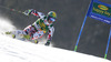 Philipp Schoerghofer of Austria skiing in first run of men giant slalom race of Audi FIS Alpine skiing World cup in Kranjska Gora, Slovenia. Men giant slalom race of Audi FIS Alpine skiing World cup season 2014-2015, was held on Saturday, 14th of March 2015 in Kranjska Gora, Slovenia.
