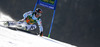 Alexander Schmid of Germany skiing in first run of men giant slalom race of Audi FIS Alpine skiing World cup in Kranjska Gora, Slovenia. Men giant slalom race of Audi FIS Alpine skiing World cup season 2014-2015, was held on Saturday, 14th of March 2015 in Kranjska Gora, Slovenia.
