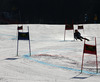 Samu Torsti of Finland skiing in the second run of men giant slalom race of Audi FIS Alpine skiing World cup in Kranjska Gora, Slovenia. Men giant slalom race of Audi FIS Alpine skiing World cup season 2014-2015, was held on Saturday, 14th of March 2015 in Kranjska Gora, Slovenia.
