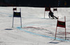 Samu Torsti of Finland skiing in the second run of men giant slalom race of Audi FIS Alpine skiing World cup in Kranjska Gora, Slovenia. Men giant slalom race of Audi FIS Alpine skiing World cup season 2014-2015, was held on Saturday, 14th of March 2015 in Kranjska Gora, Slovenia.
