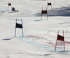 Winner Alexis Pinturault of France skiing in the second run of men giant slalom race of Audi FIS Alpine skiing World cup in Kranjska Gora, Slovenia. Men giant slalom race of Audi FIS Alpine skiing World cup season 2014-2015, was held on Saturday, 14th of March 2015 in Kranjska Gora, Slovenia.
