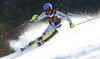 Markus Larsson of Sweden skiing in first run of men slalom race of Audi FIS Alpine skiing World cup in Kranjska Gora, Slovenia. Men slalom race of Audi FIS Alpine skiing World cup season 2014-2015, was held on Sunday, 15th of March 2015 in Kranjska Gora, Slovenia.
